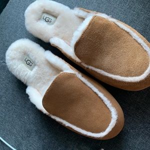 Women Ugg Slip On Slides
